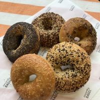 Sincerely, Bagel ico