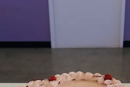 Castillo's Cake Shop
