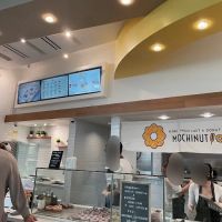 Mochinut ico