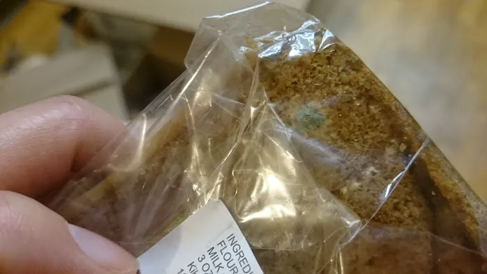 Oh! Wheat Bakery Picture 3