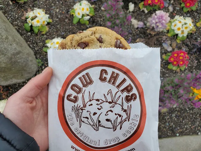 Cow Chip Cookies Picture 10