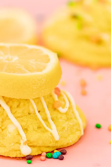 Treat Cookies Picture 9
