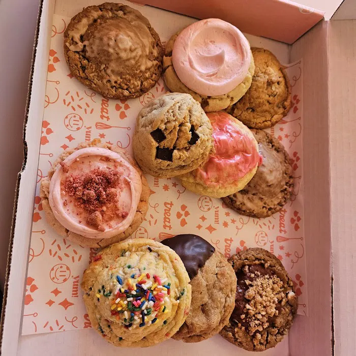 Treat Cookies Picture 5