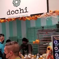 Dochi ico