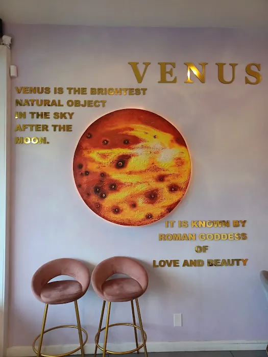 Venus Cafe Picture 7