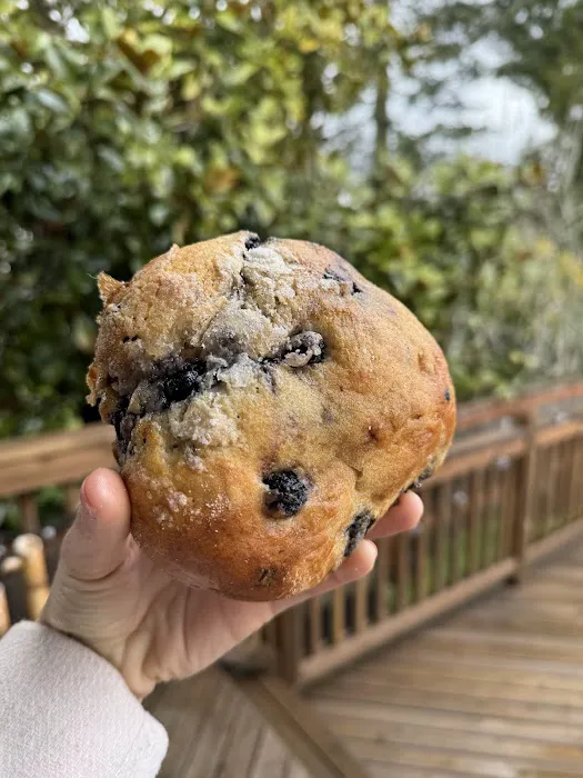 Macrina Bakery & Cafe Picture 10