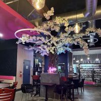 Fusion Donut Cafe & Lounge ico