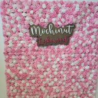 Mochi in Lakewood ico