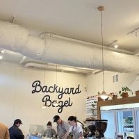 Backyard Bagel ico