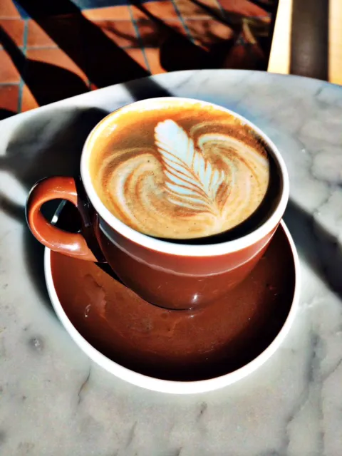 Grand Central Bakery - Wedgwood cafe Picture 3