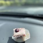 Little Free Bakery