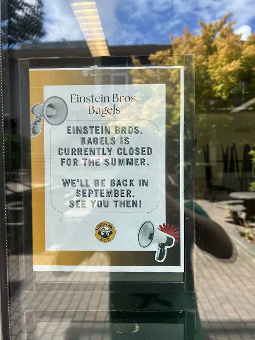 Einstein Bros. Bagels Picture 3
