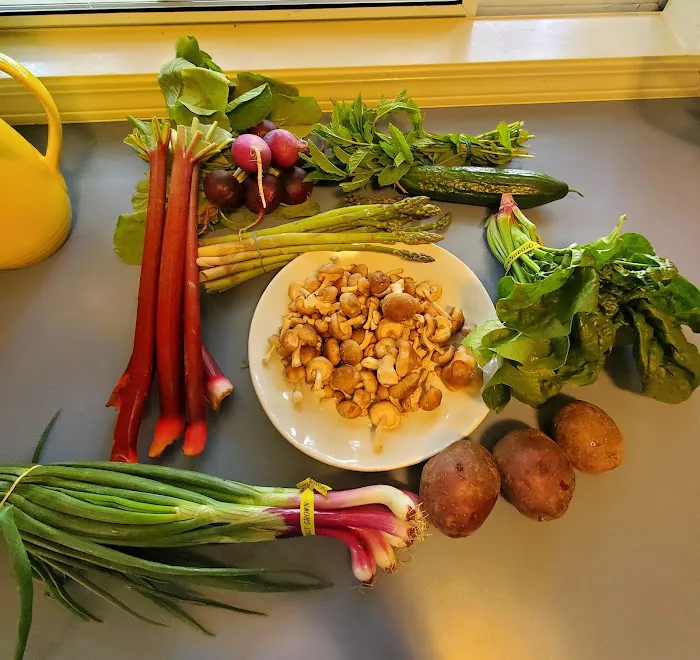 Salmonberry Goods Picture 2