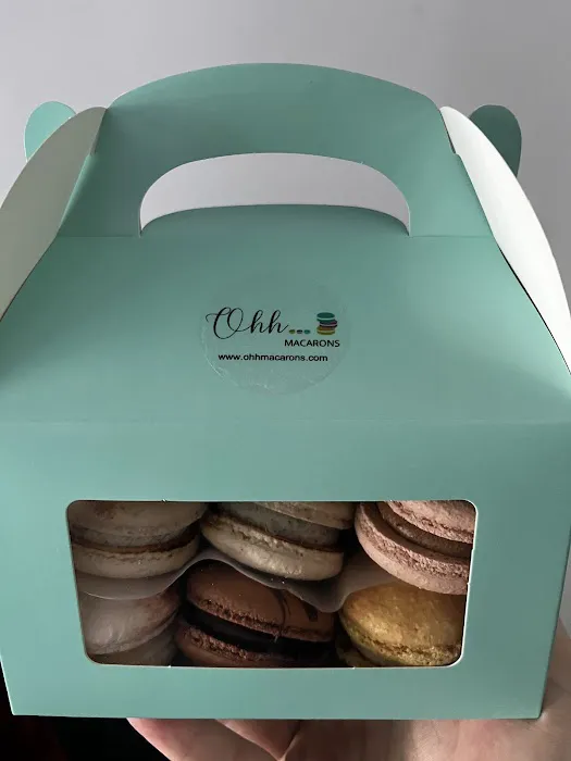 Ohh...macarons Picture 3