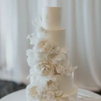 The Cakewalk Shop ico