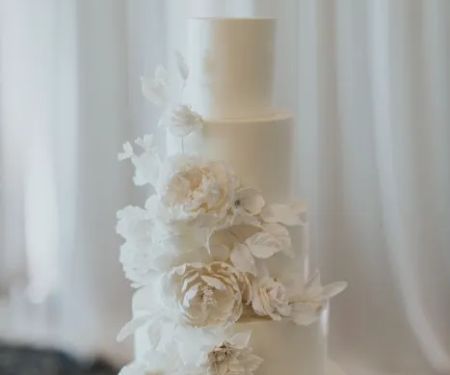 The Cakewalk Shop
