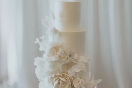 The Cakewalk Shop