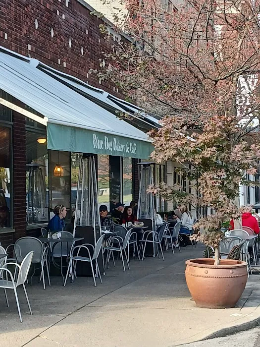Blue Dog Bakery & Cafe Picture 6
