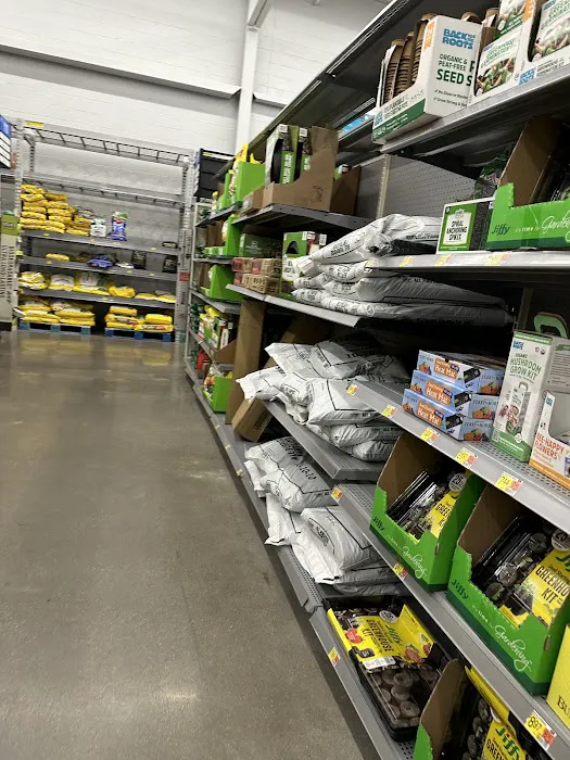 Walmart Bakery Picture 7