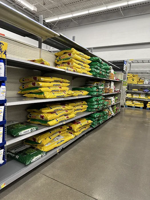 Walmart Bakery Picture 1