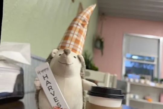 50 Flavs Bakery