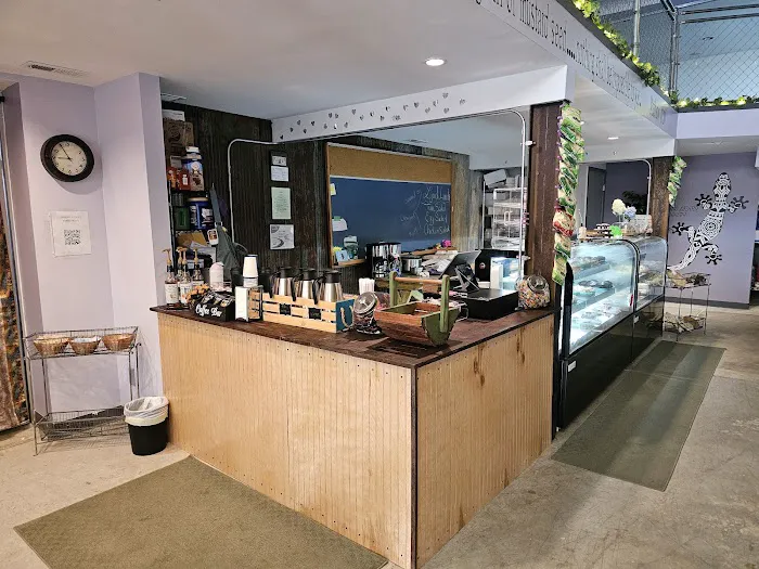 Leaping Lizard Bakery Picture 6
