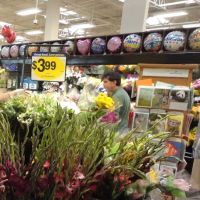 Kroger Bakery ico