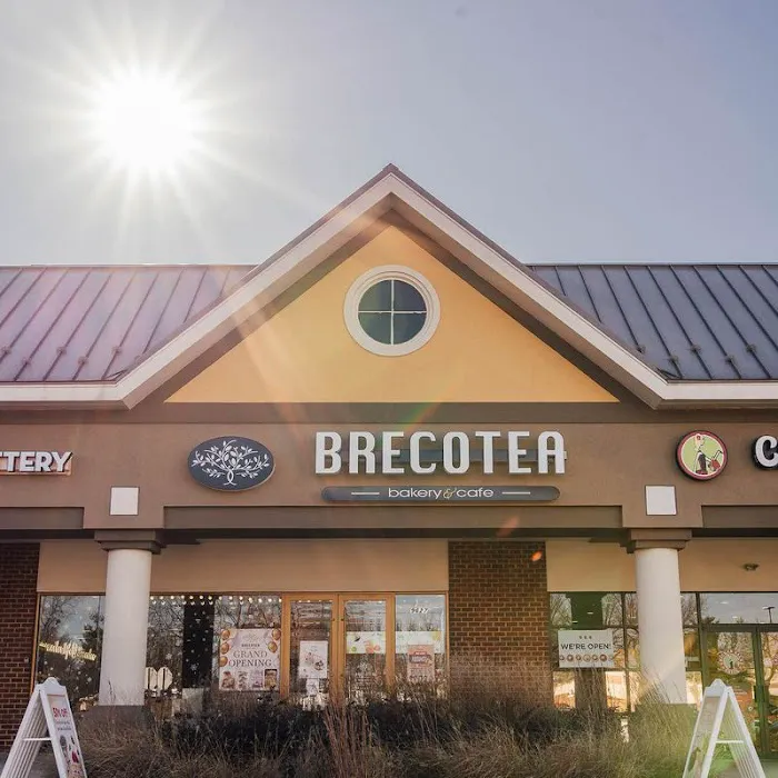 Brecotea Picture 3