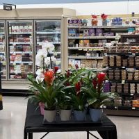Food Lion Bakery ico
