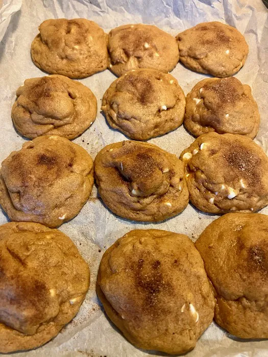 CookieSaurus Picture 1
