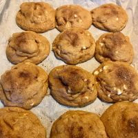 CookieSaurus ico