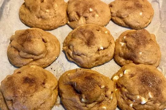 CookieSaurus