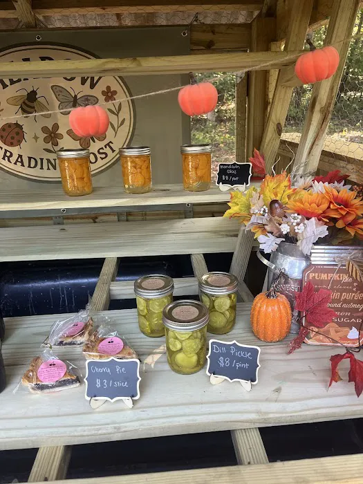 Meadow Trading Post Picture 3