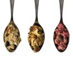 good phyte foods