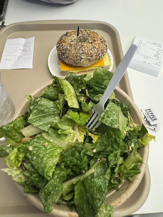 Bodo's Bagels Picture 6