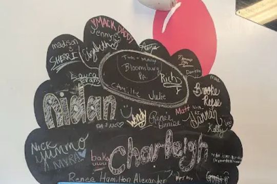 Cupcake Company