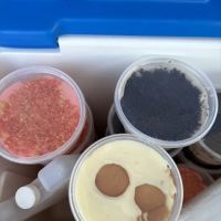 SweetTooth ico