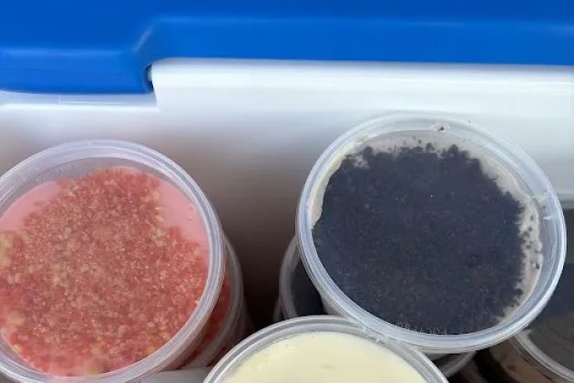SweetTooth