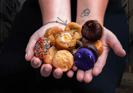 Cookie Plug Picture 3