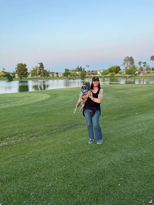 Gizmo's Goodies AZ Picture 7