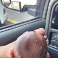 Rainbow Donuts ico