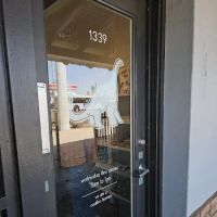 the Dinersaur ico