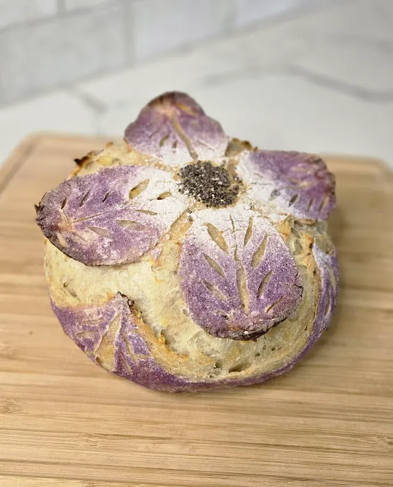 Sonoran Mountain Sourdough Picture 5