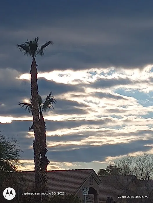 Arizona CakeScapes Picture 1