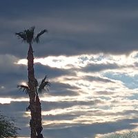 Arizona CakeScapes ico