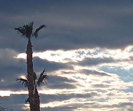 Arizona CakeScapes