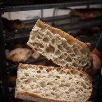 Proof Bread ico