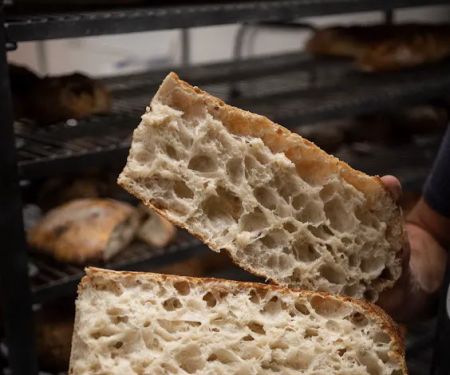 Proof Bread