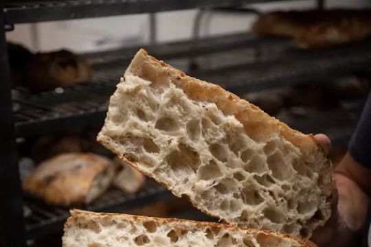 Proof Bread