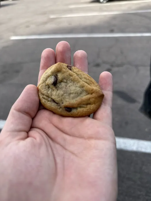 Chocolate Chip Cookie Company Picture 3